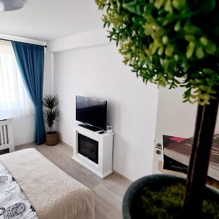 Cozy Studio Apartment Brasov Bagian luar foto