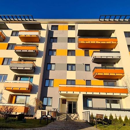 Cozy Studio Apartment Brasov Bagian luar foto