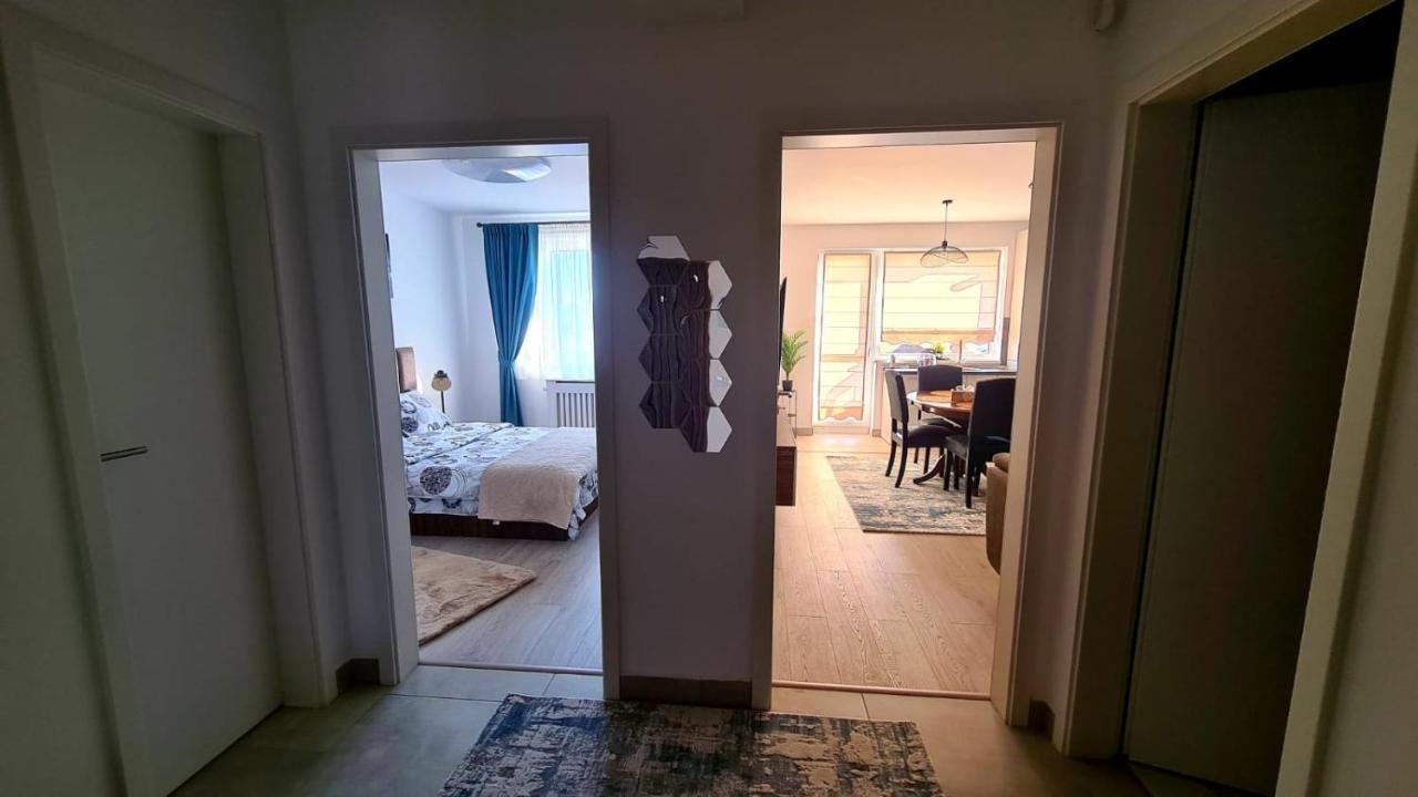 Cozy Studio Apartment Brasov Bagian luar foto