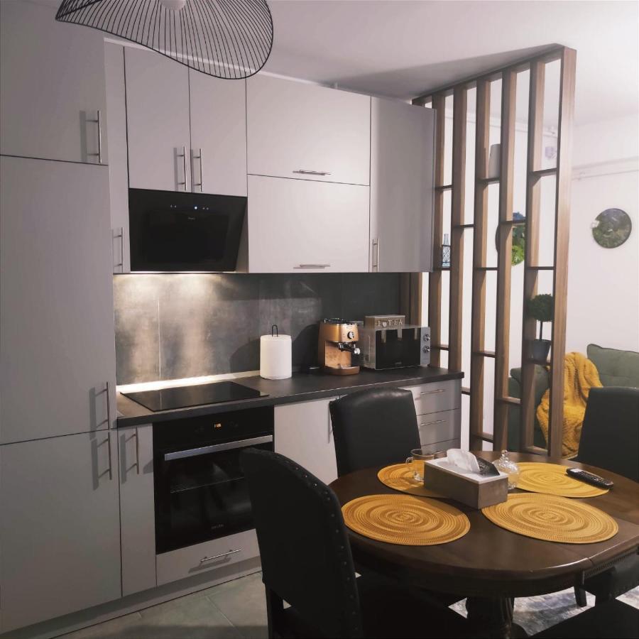 Cozy Studio Apartment Brasov Bagian luar foto