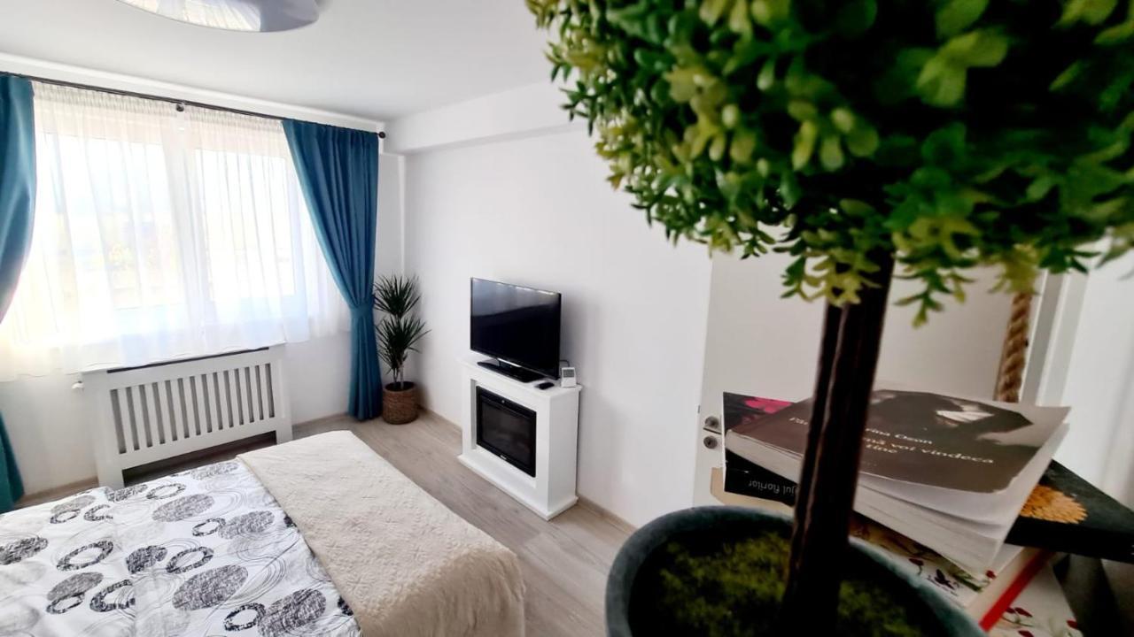 Cozy Studio Apartment Brasov Bagian luar foto