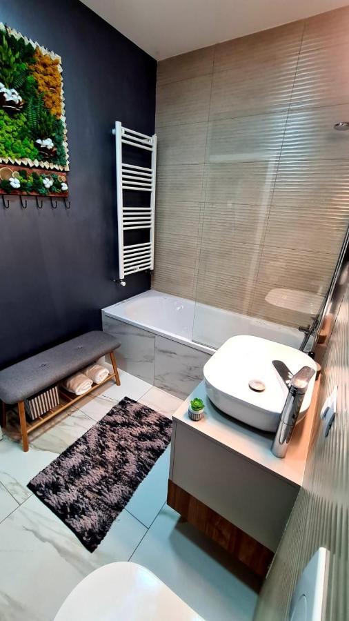 Cozy Studio Apartment Brasov Bagian luar foto